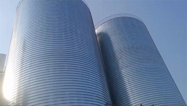 马山2座混凝土高架卷板仓